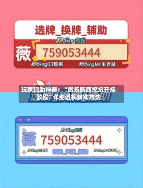 玩家辅助神器：“微乐陕西挖坑开挂教程	”详细透视辅助方法-第1张图片