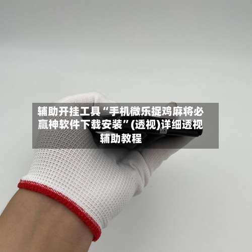 辅助开挂工具“手机微乐捉鸡麻将必赢神软件下载安装”(透视)详细透视辅助教程-第3张图片