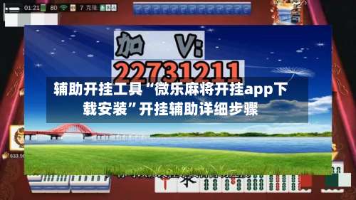辅助开挂工具“微乐麻将开挂app下载安装”开挂辅助详细步骤-第1张图片