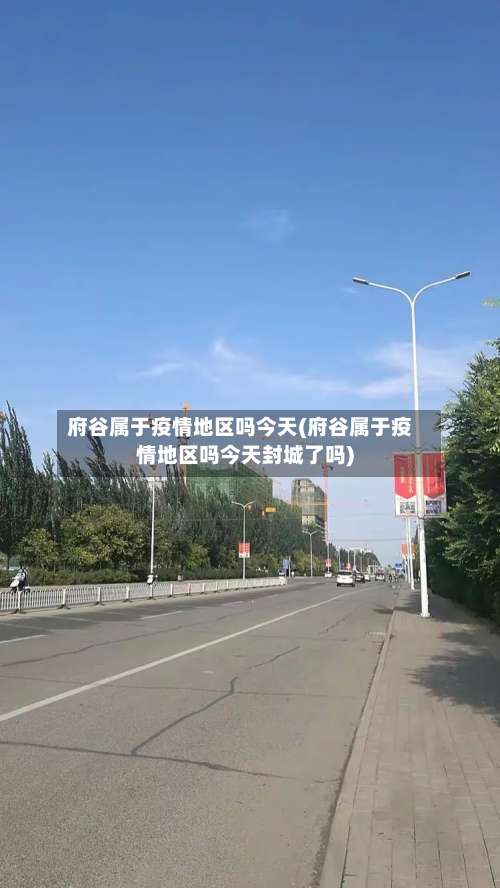 府谷属于疫情地区吗今天(府谷属于疫情地区吗今天封城了吗)-第3张图片