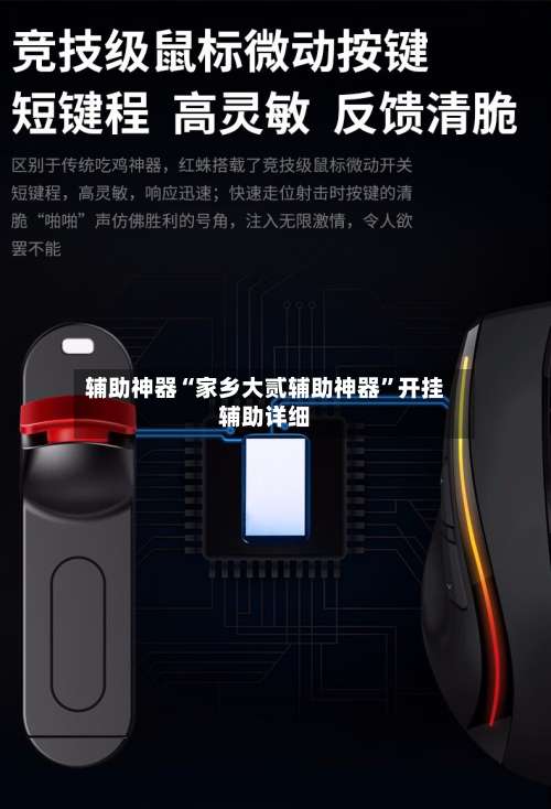 辅助神器“家乡大贰辅助神器”开挂辅助详细-第1张图片