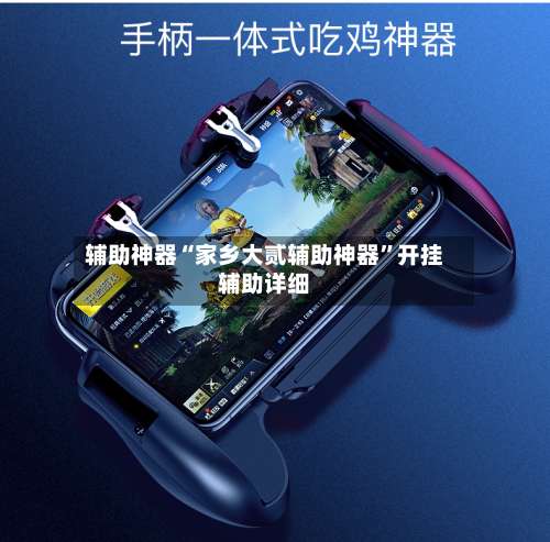 辅助神器“家乡大贰辅助神器”开挂辅助详细-第3张图片