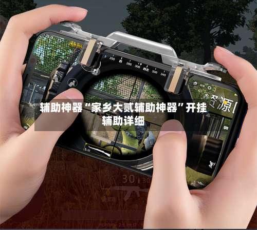 辅助神器“家乡大贰辅助神器	”开挂辅助详细-第2张图片