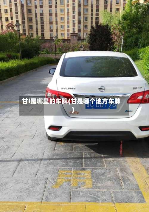 甘l是哪里的车牌(甘是哪个地方车牌)-第1张图片