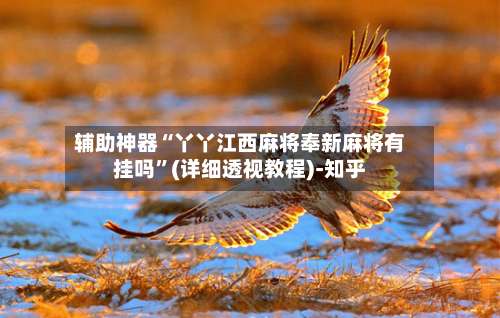 辅助神器“丫丫江西麻将奉新麻将有挂吗”(详细透视教程)-知乎-第1张图片