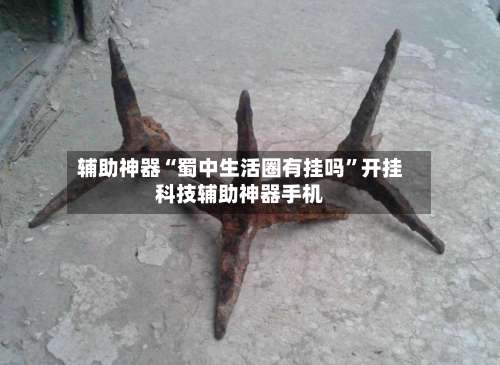 辅助神器“蜀中生活圈有挂吗”开挂科技辅助神器手机-第2张图片