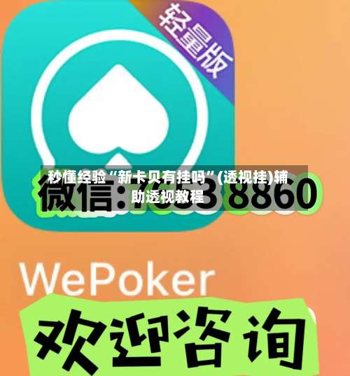 秒懂经验“新卡贝有挂吗”(透视挂)辅助透视教程-第2张图片