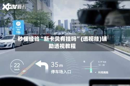 秒懂经验“新卡贝有挂吗”(透视挂)辅助透视教程-第1张图片