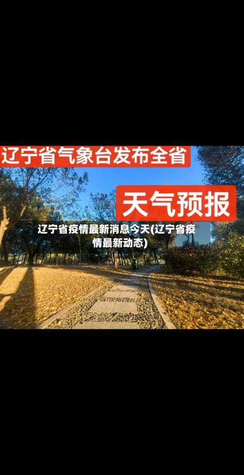 辽宁省疫情最新消息今天(辽宁省疫情最新动态)-第3张图片