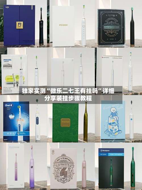 独家实测“微乐二七王有挂吗”详细分享装挂步骤教程-第1张图片