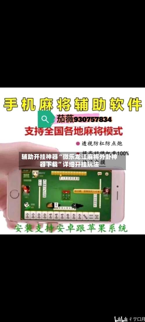 辅助开挂神器“微乐龙江麻将外卦神器下载”详细开挂玩法-第2张图片