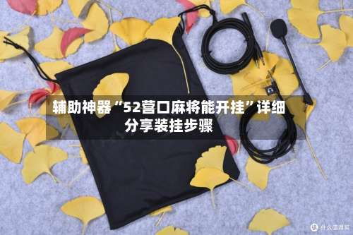 辅助神器“52营口麻将能开挂”详细分享装挂步骤-第2张图片