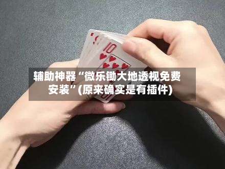 辅助神器“微乐锄大地透视免费安装”(原来确实是有插件)-第2张图片