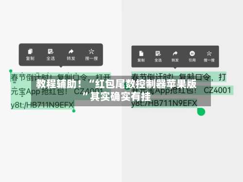 教程辅助！“红包尾数控制器苹果版	”其实确实有挂-第2张图片