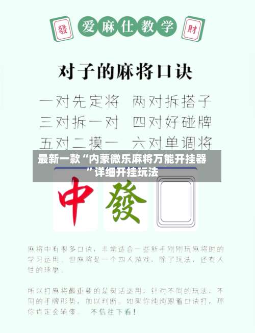 最新一款“内蒙微乐麻将万能开挂器	”详细开挂玩法-第2张图片