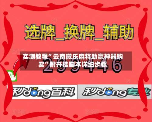 实测教程”云南微乐麻将助赢神器购买”附开挂脚本详细步骤-第2张图片