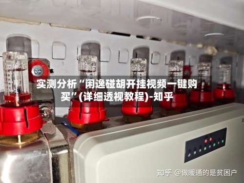 实测分析“闲逸碰胡开挂视频一键购买	”(详细透视教程)-知乎-第2张图片