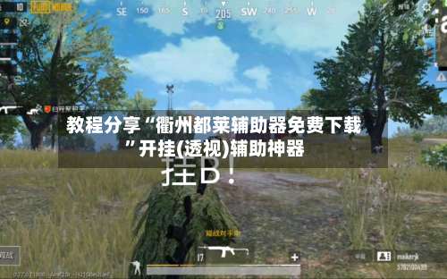 教程分享“衢州都莱辅助器免费下载”开挂(透视)辅助神器-第1张图片