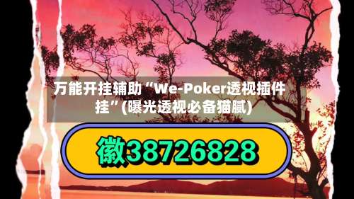 万能开挂辅助“We-Poker透视插件挂	”(曝光透视必备猫腻)-第1张图片