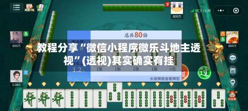 教程分享“微信小程序微乐斗地主透视”(透视)其实确实有挂-第2张图片