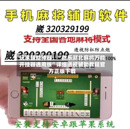 玩家辅助神器：“微乐湖北麻将万能开挂器通用版	”详细透视辅助教程官方正版下载-第2张图片