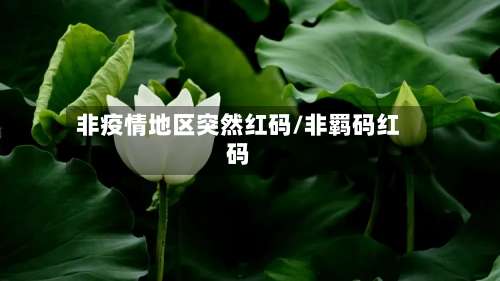 非疫情地区突然红码/非羁码红码-第3张图片
