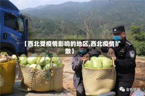 【西北受疫情影响的地区,西北疫情扩散】-第1张图片