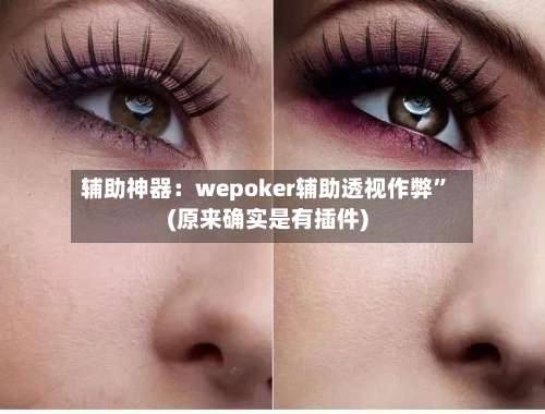 辅助神器：wepoker辅助透视作弊	”(原来确实是有插件)-第1张图片