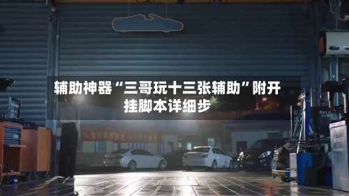 辅助神器“三哥玩十三张辅助”附开挂脚本详细步-第2张图片