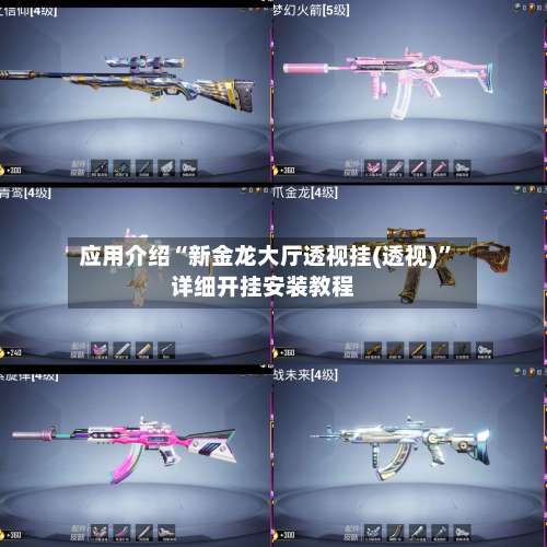 应用介绍“新金龙大厅透视挂(透视)”详细开挂安装教程-第1张图片