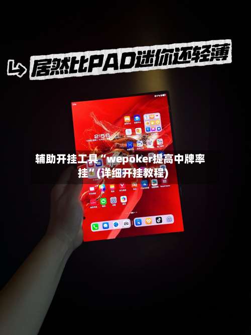 辅助开挂工具“wepoker提高中牌率挂”(详细开挂教程)-第3张图片