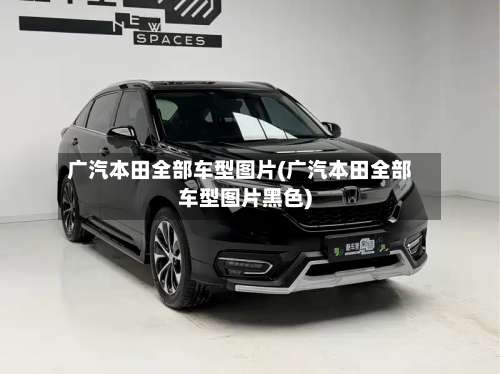 广汽本田全部车型图片(广汽本田全部车型图片黑色)-第1张图片
