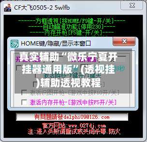 真实辅助“微乐宁夏开挂器通用版”(透视挂)辅助透视教程-第2张图片