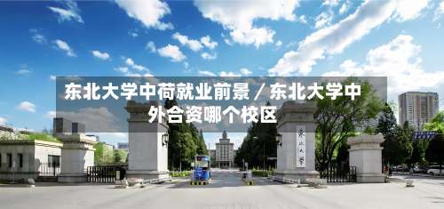 东北大学中荷就业前景／东北大学中外合资哪个校区-第1张图片