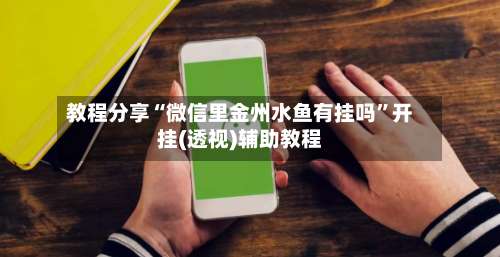 教程分享“微信里金州水鱼有挂吗”开挂(透视)辅助教程-第2张图片