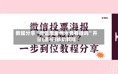 教程分享“微信里金州水鱼有挂吗”开挂(透视)辅助教程-第3张图片