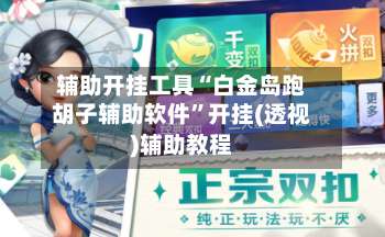 辅助开挂工具“白金岛跑胡子辅助软件	”开挂(透视)辅助教程-第1张图片