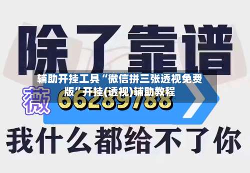辅助开挂工具“微信拼三张透视免费版	”开挂(透视)辅助教程-第2张图片