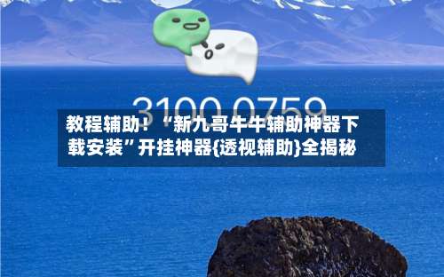 教程辅助！“新九哥牛牛辅助神器下载安装”开挂神器{透视辅助}全揭秘-第3张图片