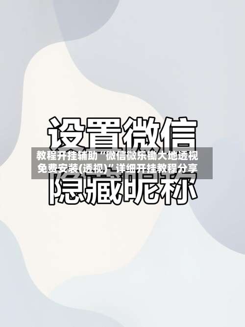 教程开挂辅助“微信微乐锄大地透视免费安装(透视)”详细开挂教程分享-第2张图片