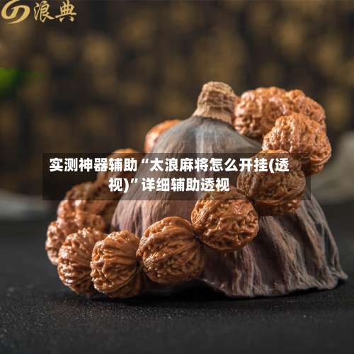 实测神器辅助“太浪麻将怎么开挂(透视)”详细辅助透视-第1张图片