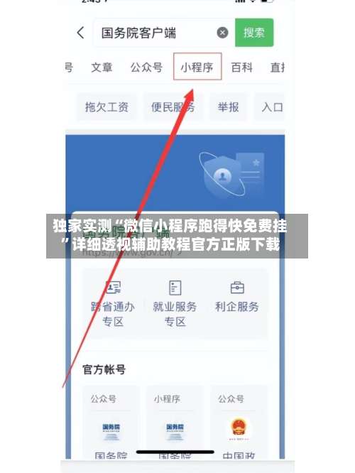 独家实测“微信小程序跑得快免费挂”详细透视辅助教程官方正版下载-第1张图片
