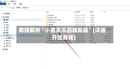 教程解析“小唐家乐园辅助器”(详细开挂教程)-第2张图片