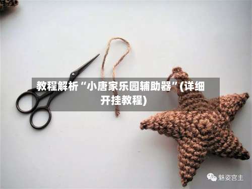 教程解析“小唐家乐园辅助器	”(详细开挂教程)-第1张图片