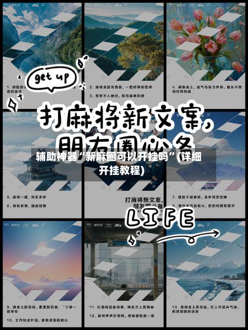 辅助神器“新麻圈可以开挂吗”(详细开挂教程)-第1张图片