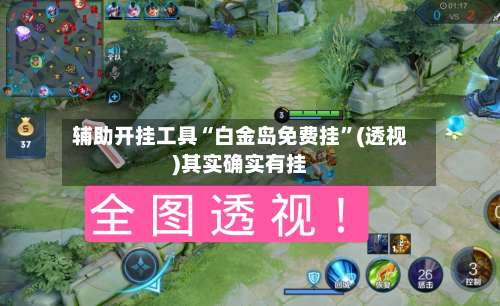 辅助开挂工具“白金岛免费挂	”(透视)其实确实有挂-第1张图片