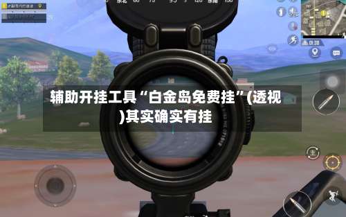 辅助开挂工具“白金岛免费挂”(透视)其实确实有挂-第2张图片