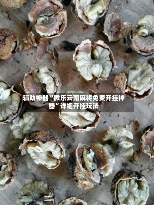 辅助神器“微乐云南麻将免费开挂神器”详细开挂玩法-第3张图片