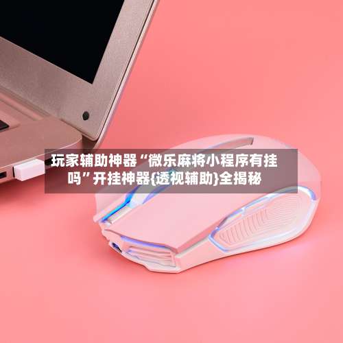 玩家辅助神器“微乐麻将小程序有挂吗”开挂神器{透视辅助}全揭秘-第1张图片