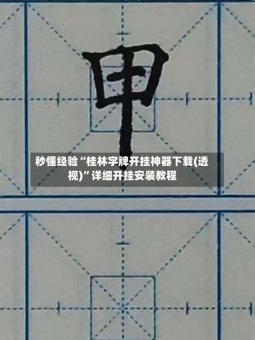 秒懂经验“桂林字牌开挂神器下载(透视)	”详细开挂安装教程-第2张图片
